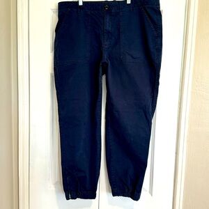 Banana Republic Navy Blue Pants, Size 16W